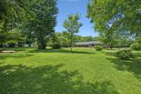 Large Backyard to Enjoy from the Covered Patio.
