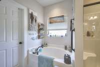 Separate tub & shower