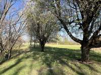 Large Back Yard