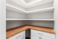 Walk-in pantry with upgrades