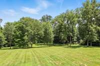 Towering trees, open green space, and total tranquility!