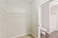 A huge closet with shelving is just off the bathroom!