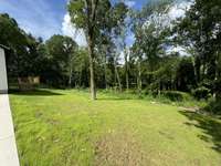 Spacious backyard with mature trees