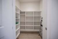 You can store plenty of food in this large walk in pantry with built in wood shelving!
