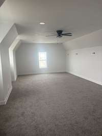 Bonus/Media Room 1