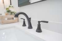 8" spread bath fixtures in primary
