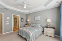 Ceiling fan, blinds, and trayed ceiling