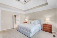 A trace ceiling adds extra height to this already spacious bedroom.
