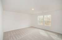 The Owner's Bedroom is located on the 2nd floor and includes a large walk-in closet! Enjoy privacy as your home backs up directly to the White House Greenway!