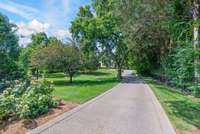 Tree lined drive
