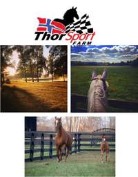 1/2 mile from ThorSport Farms the a premier reining and breeding facility situated on 530 acres in Murfreesboro, Tenn. It features multiple riding arenas, round pens, and paddocks; and an onsite veterinary clinic and equine surgical center.