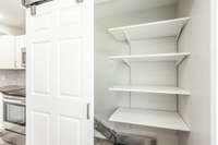 Added Pantry shelves