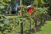There's a fruit orchard right next to the Writer's Cabin and Guest House