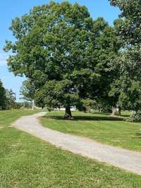 ENJOY THE PEACEFUL CHARM OF A SCENIC WALKING TRAIL THAT WINDS THROUGH THE HEART OF THE NEIGHBORHOOD.  PERFECT FOR MORNING STROLLS, AFTERNOON JOGS, OR EVENING WALKS WITH THE DOG - SURROUNDED BY MATURE TREES AND BEAUTIFULLY LANDSCAPED GREEN SPACES.