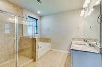 Separate shower and tub in the owner's suite