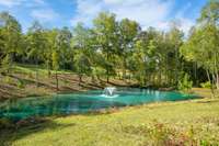 Pond in the community