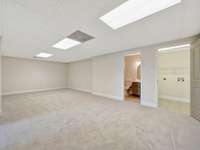 Huge recreation room in the basement