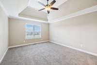 The primary bedroom is spacious, features a deep tray ceiling and overlooks the back yard.