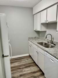 Brand new sink, fixtures, countertops, dishwasher, and stove!