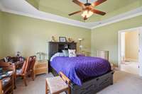 Primary bedroom with trey ceiling, ceiling fan, crown molding and nice large bath with separate shower, tub and double vanities