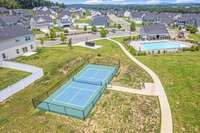 Community Pickleball court