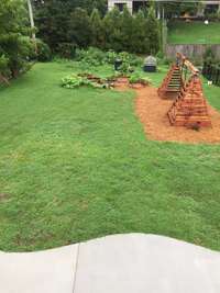 Flourishing garden