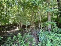 Lovely wooded lot