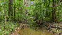 Beautiful and so peaceful.