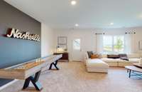***Hampton basement from model home in Hamlet at Carothers Crossing***  This photo shows how we staged the basement in our model home located in La Vergne.
