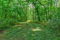 Groomed walking trails perfect for navigating the land on foot, horseback, or ATV.