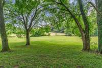 Breathtaking views of the pasture from the back of the house.