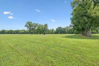 With 12 beautiful acres, there are so many possibilities! 8385 Lascassas Pike Lascassas, TN 37085