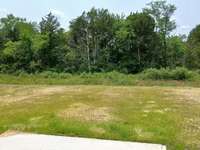 House has private backyard that backs up to Mature Trees.