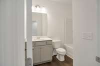 Hall Bathroom