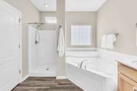 Nice size separate shower