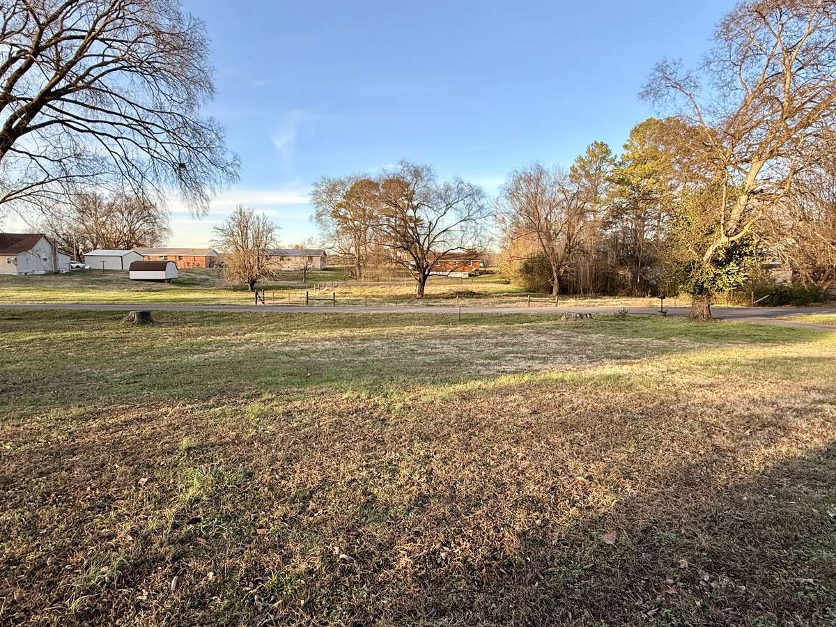 This is a view of the front yard looking toward McIntosh Ave