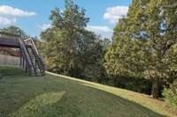 Wooded view from deck
