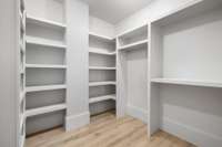 The guest suite also has a private walk-in closet.