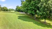 Endless opportunities in this big backyard for the kids to play or dogs to roam!