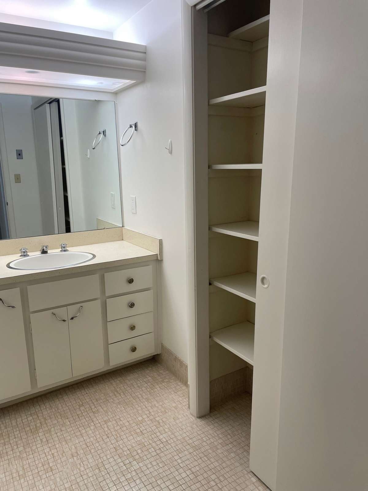 Primary bath with updated stall shower and large closet.