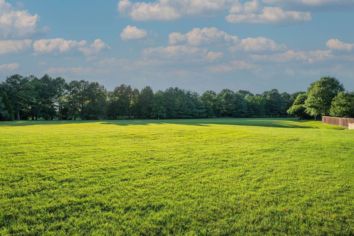 HOA Green space-extension of your backyard!!