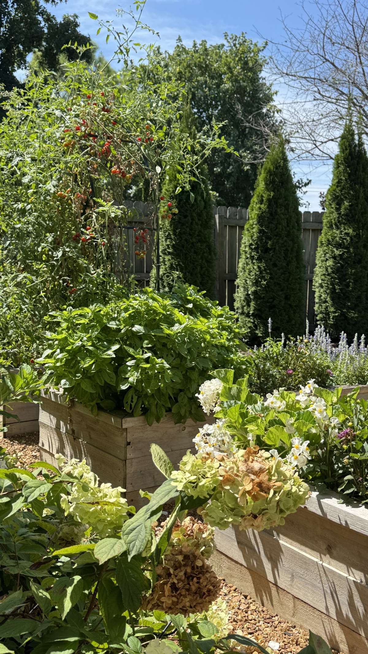 Imagine the veggies you can grow here!