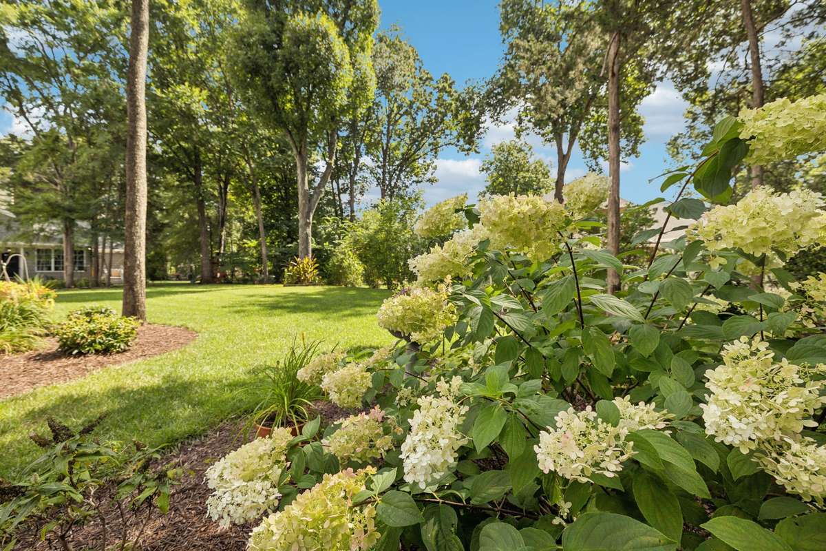 Walk around the yard to discover all the beautiful plants and trees that have been painstakingly planted and cared for! 2230 Northwoods Dr. Murfreesboro, TN 37130