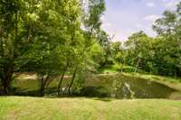 Peaceful view of the pond framed by trees—lush, quiet, and right outside your door.