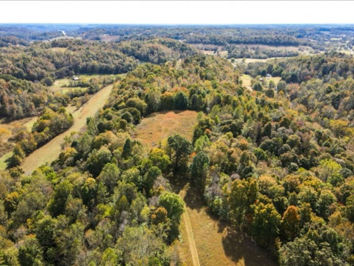 Back part of the pasture