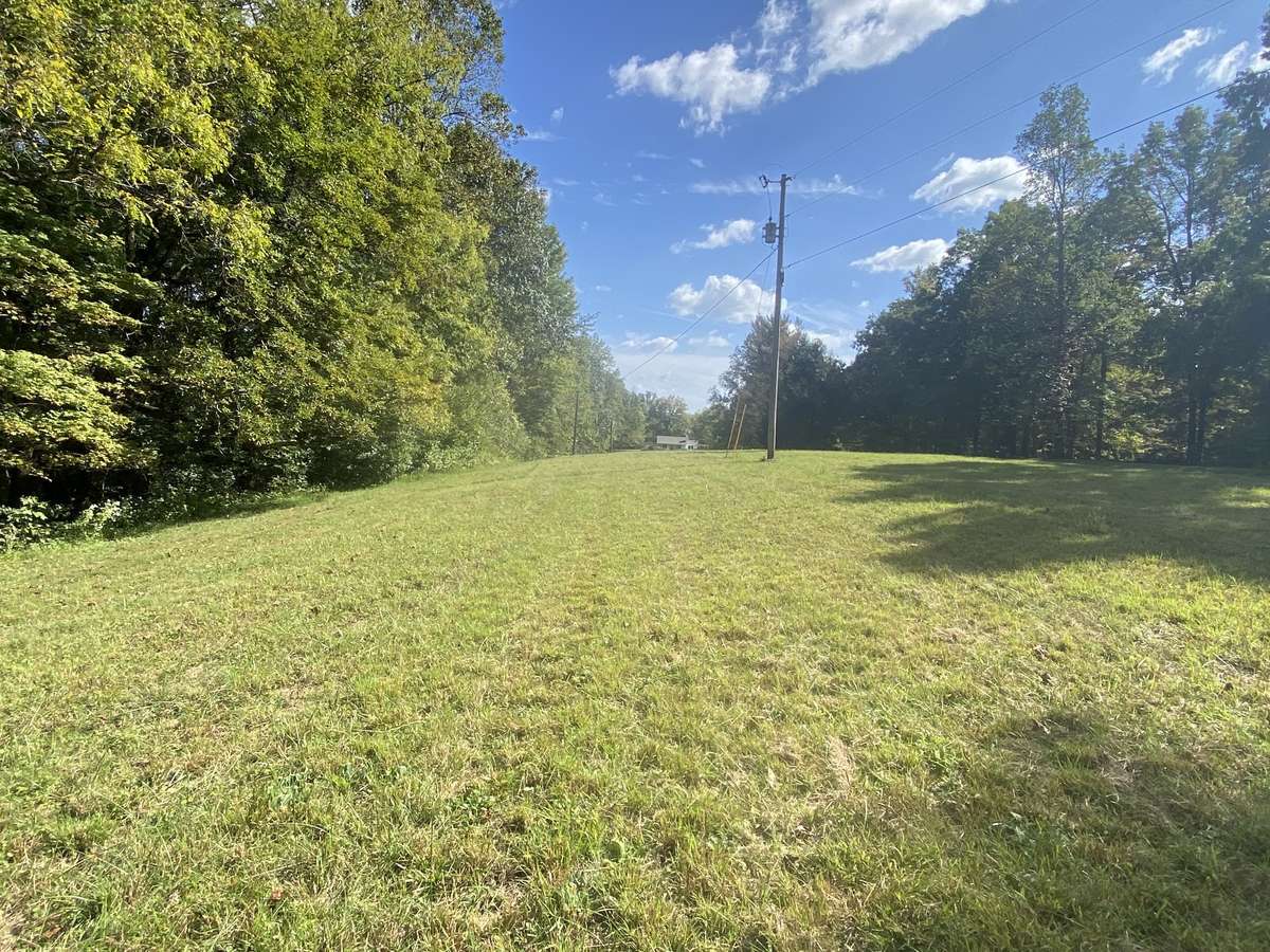 Large area for that new dream home or tiny guest house.