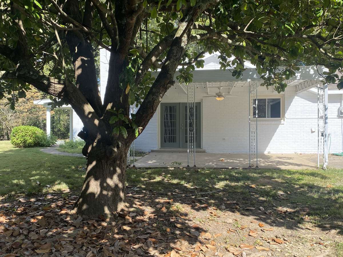 Imagine this magnolia in bloom with its large white flowers next to this house