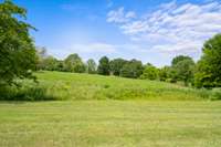 There is a creek that runs through the Property