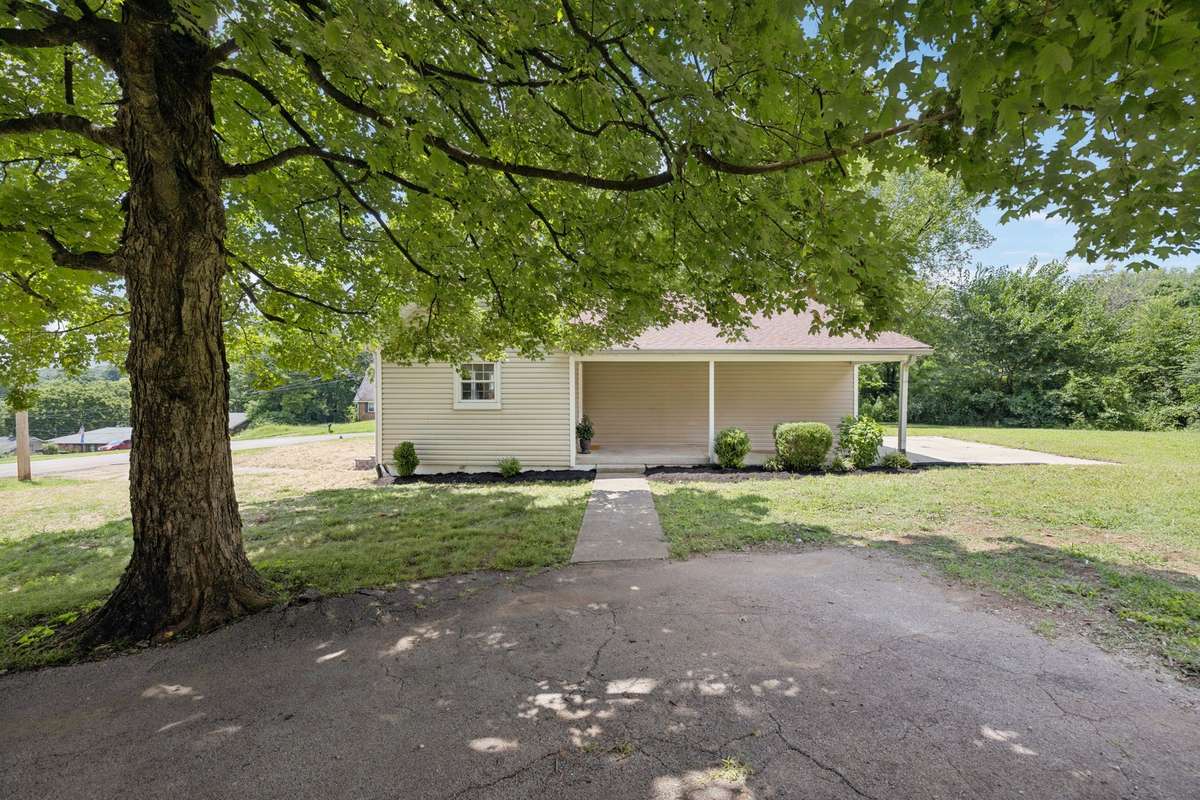 Love all the mature trees in this yard!