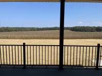 View from back porch